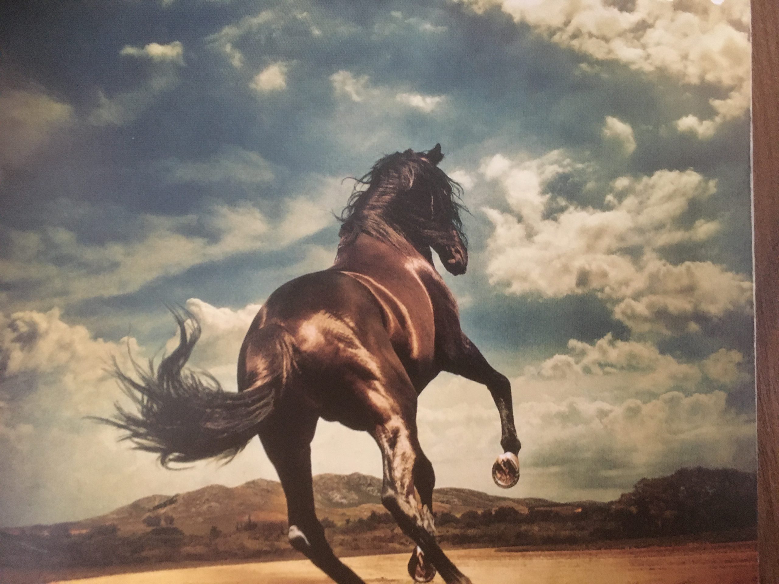 Bruce Springsteen, western stars: de nieuwe born to run